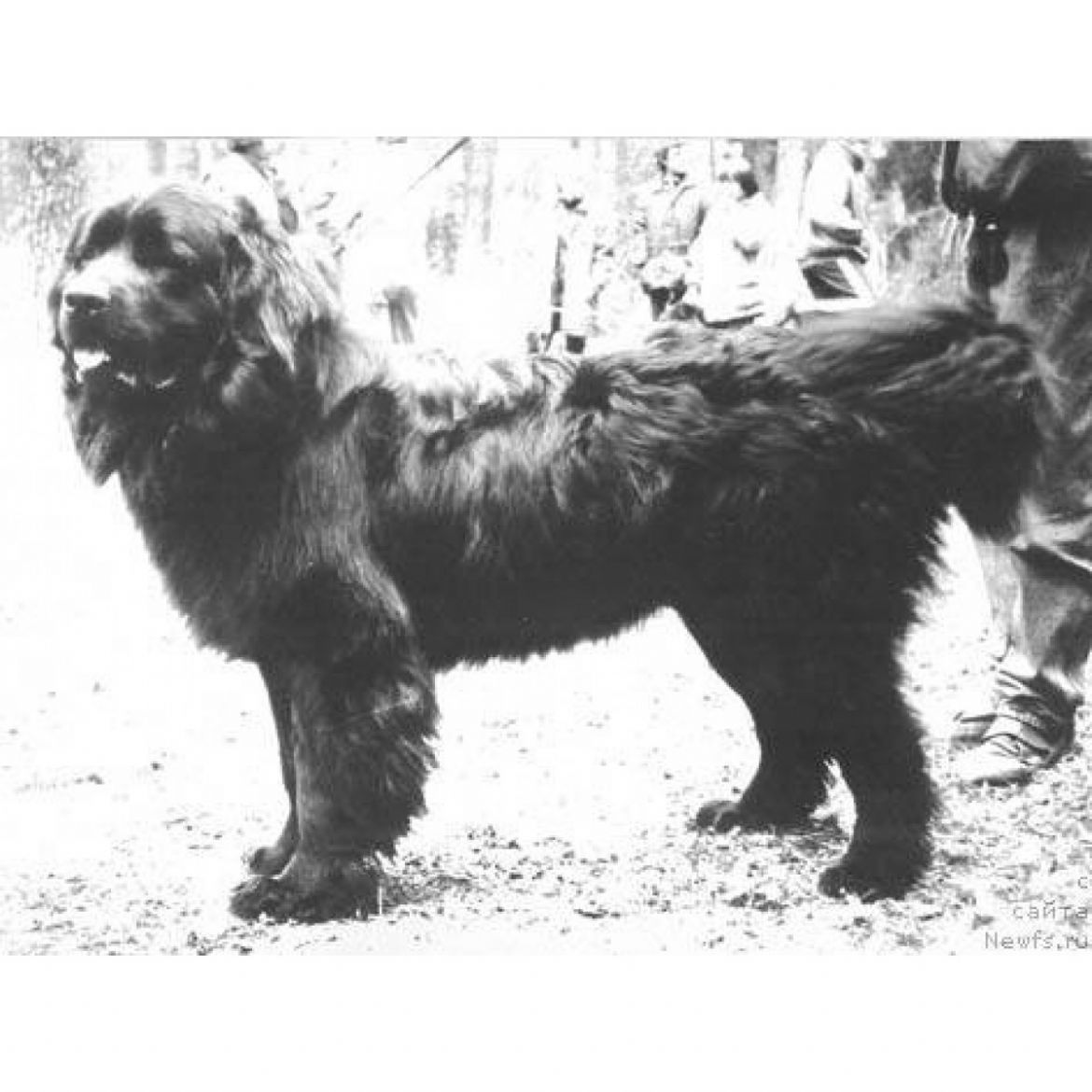 R Tschester Bjukent Grant (25-10-1989)